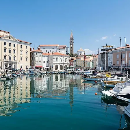 Studio Piran 皮兰